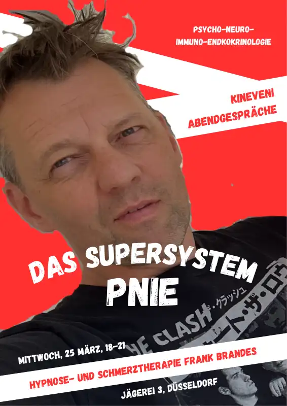 Kineveni Abendgespräche PNIE Supersystem Hypnose- und Schmerztherapie Frank Brandes
