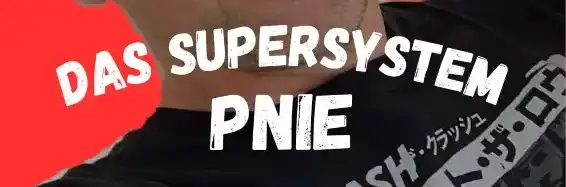 PNIE Vortrag Hypnose- und Schmerztherapie Kineveni Abendgespräche